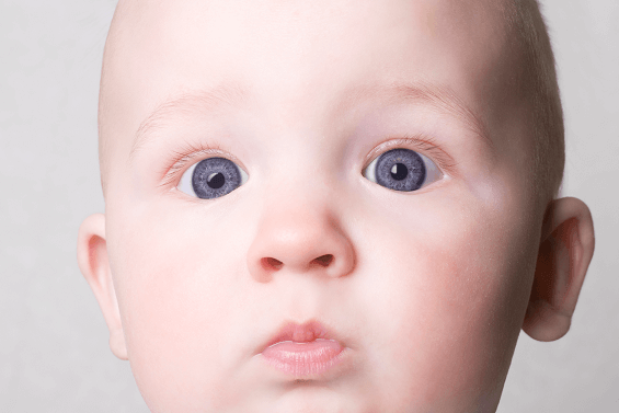 Pajemploi Des Changements Tres Importants Dans Les Mois A Venir